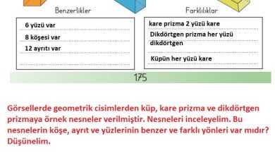 3. Sınıf Matematik Meb Yayınları Sayfa 175 Cevapları