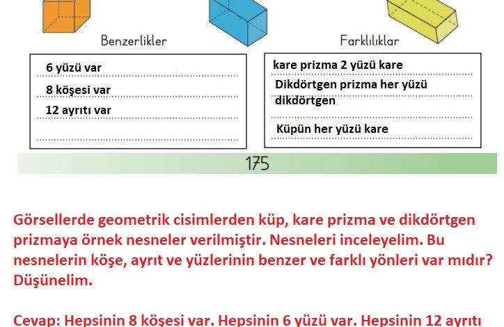 3. Sınıf Matematik Meb Yayınları Sayfa 175 Cevapları