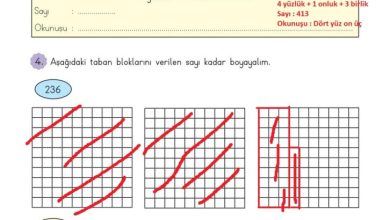 3. Sınıf Matematik Meb Yayınları Sayfa 18 Cevapları