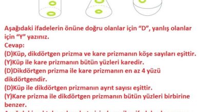 3. Sınıf Matematik Meb Yayınları Sayfa 180 Cevapları