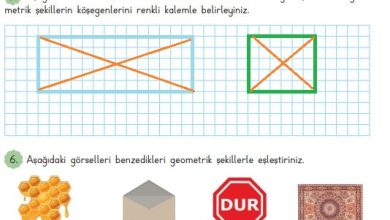 3. Sınıf Matematik Meb Yayınları Sayfa 181 Cevapları