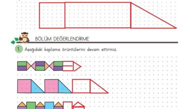 3. Sınıf Matematik Meb Yayınları Sayfa 183 Cevapları