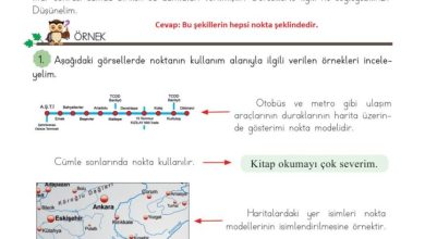 3. Sınıf Matematik Meb Yayınları Sayfa 184 Cevapları