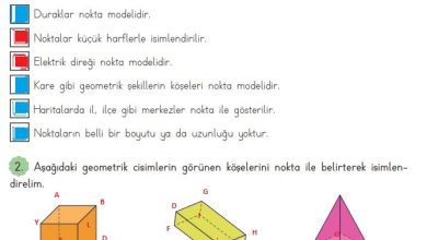 3. Sınıf Matematik Meb Yayınları Sayfa 185 Cevapları