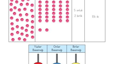 3. Sınıf Matematik Meb Yayınları Sayfa 19 Cevapları