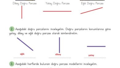 3. Sınıf Matematik Meb Yayınları Sayfa 190 Cevapları