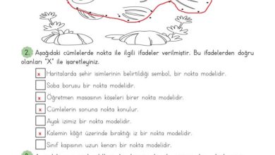 3. Sınıf Matematik Meb Yayınları Sayfa 191 Cevapları