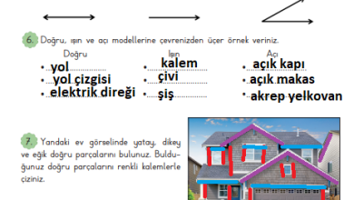 3. Sınıf Matematik Meb Yayınları Sayfa 192 Cevapları