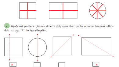 3. Sınıf Matematik Meb Yayınları Sayfa 194 Cevapları