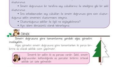 3. Sınıf Matematik Meb Yayınları Sayfa 195 Cevapları