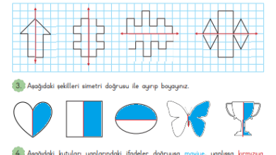 3. Sınıf Matematik Meb Yayınları Sayfa 196 Cevapları