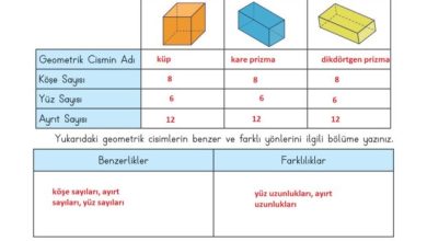 3. Sınıf Matematik Meb Yayınları Sayfa 197 Cevapları