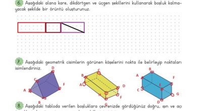 3. Sınıf Matematik Meb Yayınları Sayfa 198 Cevapları