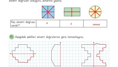 3. Sınıf Matematik Meb Yayınları Sayfa 199 Cevapları