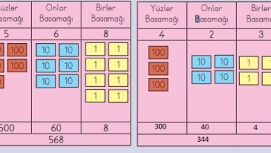 3. Sınıf Matematik Meb Yayınları Sayfa 20 Cevapları