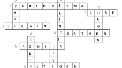 3. Sınıf Matematik Meb Yayınları Sayfa 200 Cevapları