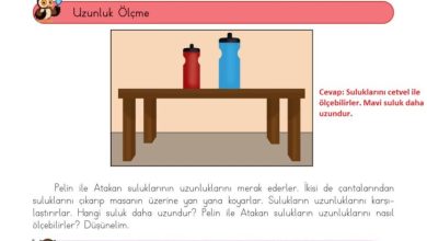 3. Sınıf Matematik Meb Yayınları Sayfa 202 Cevapları