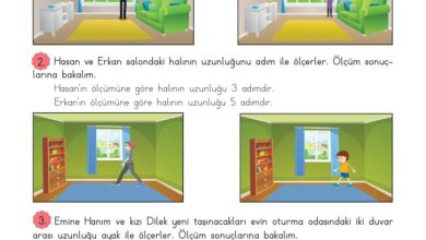 3. Sınıf Matematik Meb Yayınları Sayfa 203 Cevapları