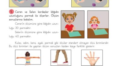 3. Sınıf Matematik Meb Yayınları Sayfa 204 Cevapları