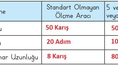 3. Sınıf Matematik Meb Yayınları Sayfa 205 Cevapları