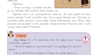 3. Sınıf Matematik Meb Yayınları Sayfa 206 Cevapları