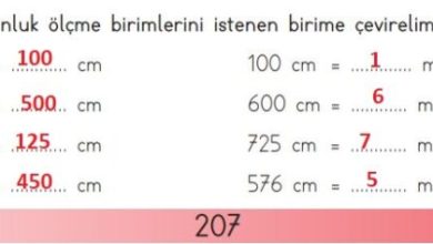 3. Sınıf Matematik Meb Yayınları Sayfa 207 Cevapları