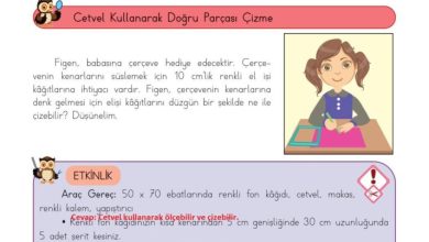 3. Sınıf Matematik Meb Yayınları Sayfa 208 Cevapları