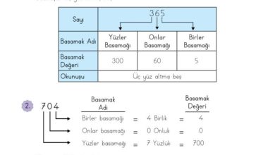 3. Sınıf Matematik Meb Yayınları Sayfa 21 Cevapları