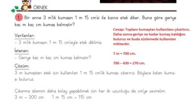 3. Sınıf Matematik Meb Yayınları Sayfa 212 Cevapları