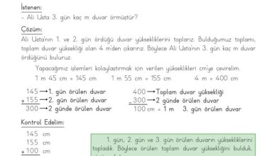 3. Sınıf Matematik Meb Yayınları Sayfa 213 Cevapları