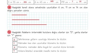 3. Sınıf Matematik Meb Yayınları Sayfa 214 Cevapları