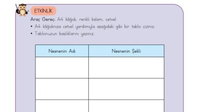 3. Sınıf Matematik Meb Yayınları Sayfa 215 Cevapları