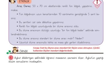 3. Sınıf Matematik Meb Yayınları Sayfa 217 Cevapları