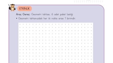 3. Sınıf Matematik Meb Yayınları Sayfa 219 Cevapları