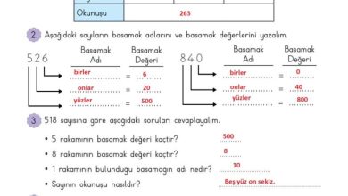 3. Sınıf Matematik Meb Yayınları Sayfa 22 Cevapları