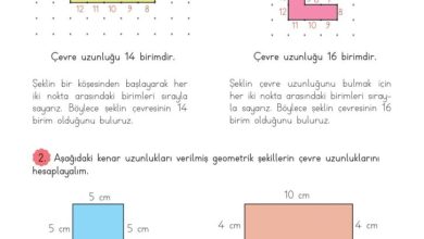 3. Sınıf Matematik Meb Yayınları Sayfa 220 Cevapları