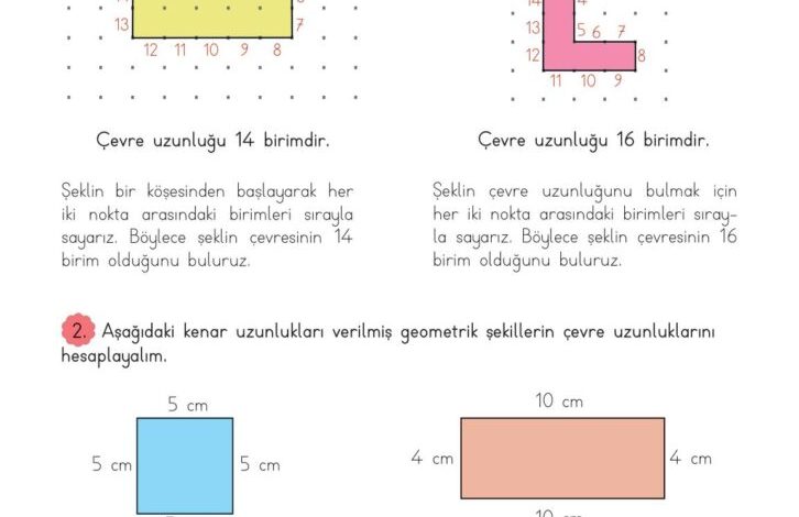 3. Sınıf Matematik Meb Yayınları Sayfa 220 Cevapları