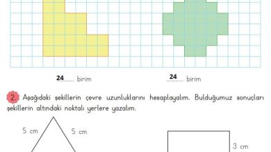 3. Sınıf Matematik Meb Yayınları Sayfa 221 Cevapları