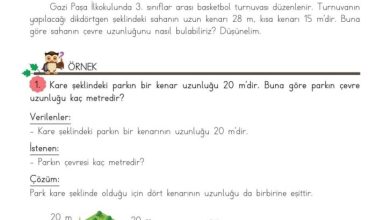 3. Sınıf Matematik Meb Yayınları Sayfa 222 Cevapları