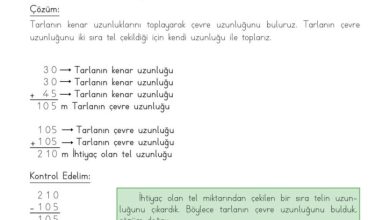 3. Sınıf Matematik Meb Yayınları Sayfa 223 Cevapları