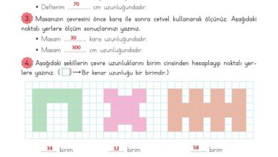 3. Sınıf Matematik Meb Yayınları Sayfa 224 Cevapları