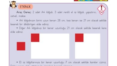 3. Sınıf Matematik Meb Yayınları Sayfa 225 Cevapları