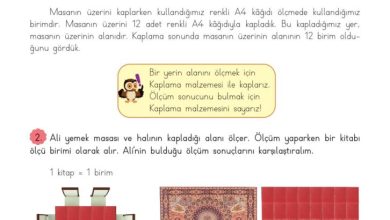 3. Sınıf Matematik Meb Yayınları Sayfa 226 Cevapları