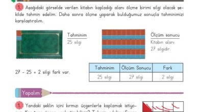 3. Sınıf Matematik Meb Yayınları Sayfa 228 Cevapları