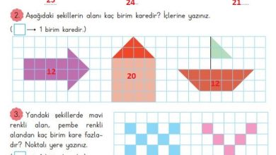 3. Sınıf Matematik Meb Yayınları Sayfa 229 Cevapları