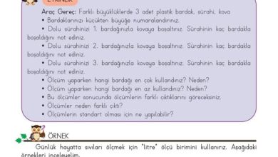 3. Sınıf Matematik Meb Yayınları Sayfa 230 Cevapları