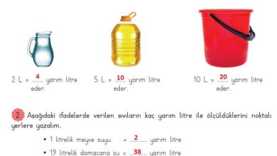 3. Sınıf Matematik Meb Yayınları Sayfa 231 Cevapları