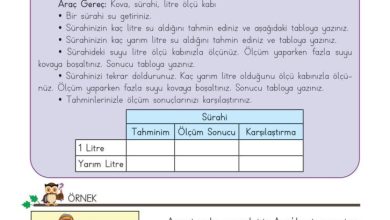 3. Sınıf Matematik Meb Yayınları Sayfa 232 Cevapları