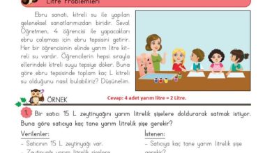 3. Sınıf Matematik Meb Yayınları Sayfa 233 Cevapları