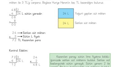 3. Sınıf Matematik Meb Yayınları Sayfa 234 Cevapları